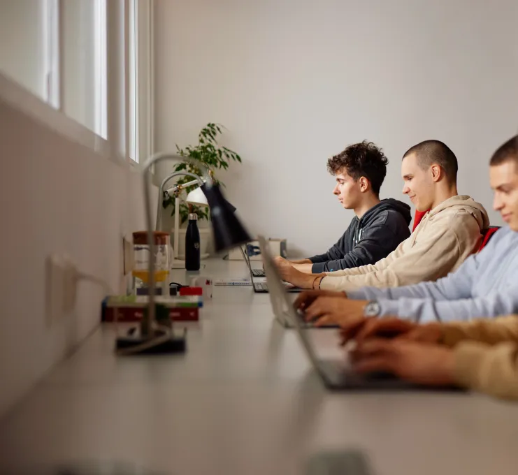 A group of young men working on laptops in an office, side view, white walls, daylight, natural lighting.